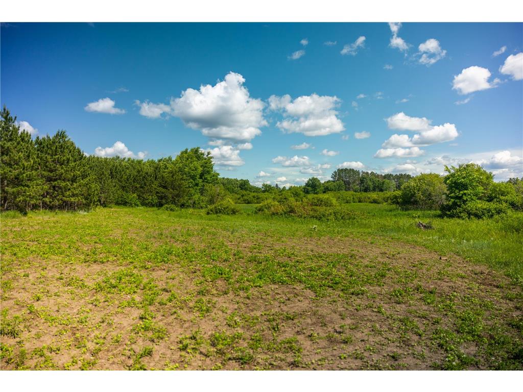 22415 Wilderness Drive Lyons Twp MN 56481 7101809 image34