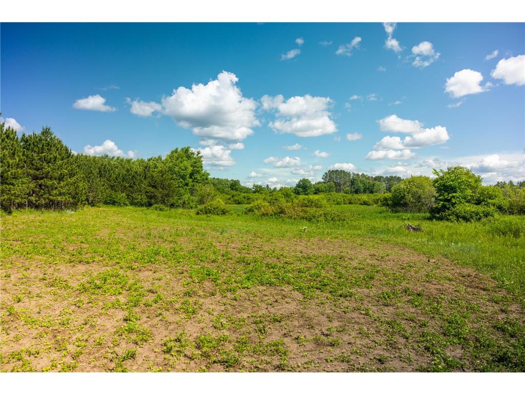 22415 Wilderness Drive Lyons Twp MN 56481 7101809 image35