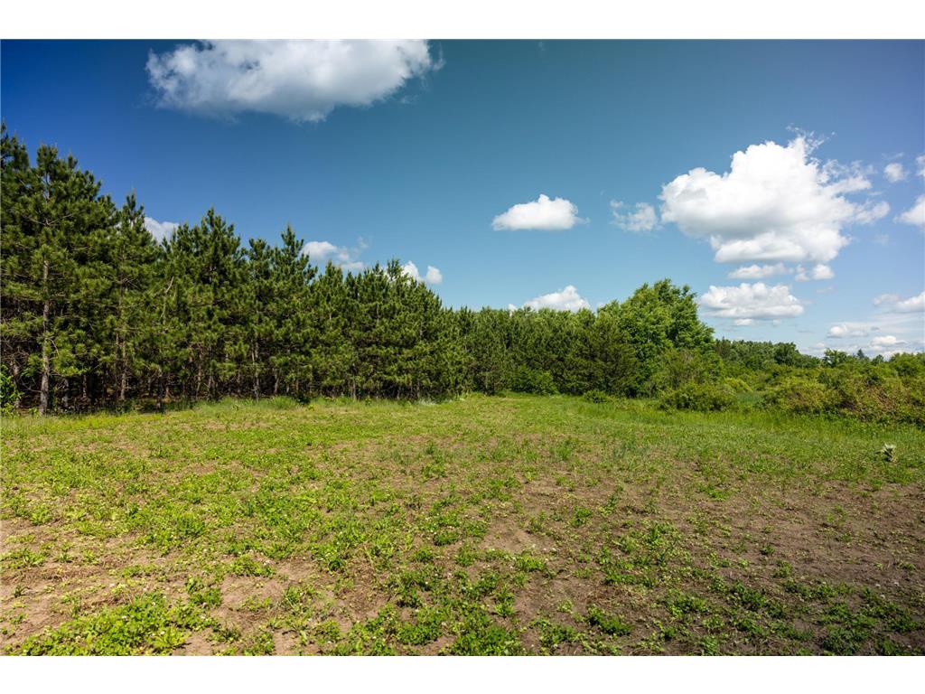 22415 Wilderness Drive Lyons Twp MN 56481 7101809 image38