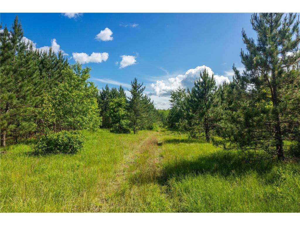 22415 Wilderness Drive Lyons Twp MN 56481 7101809 image45