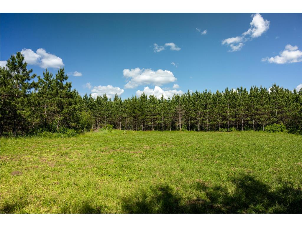 22415 Wilderness Drive Lyons Twp MN 56481 7101809 image46
