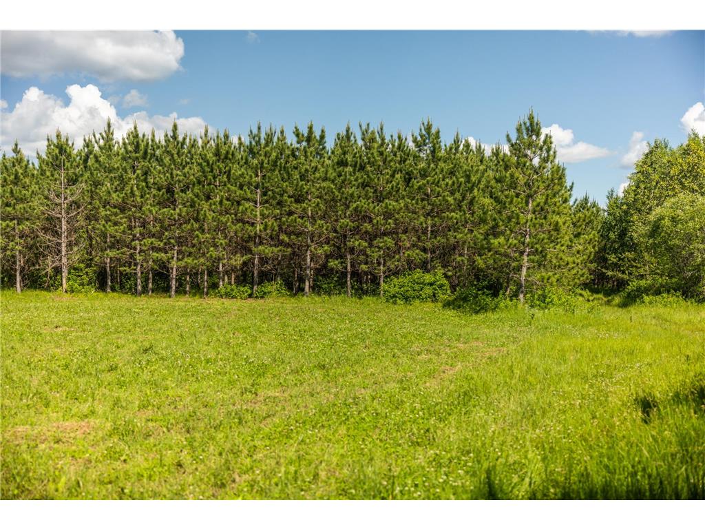22415 Wilderness Drive Lyons Twp MN 56481 7101809 image51