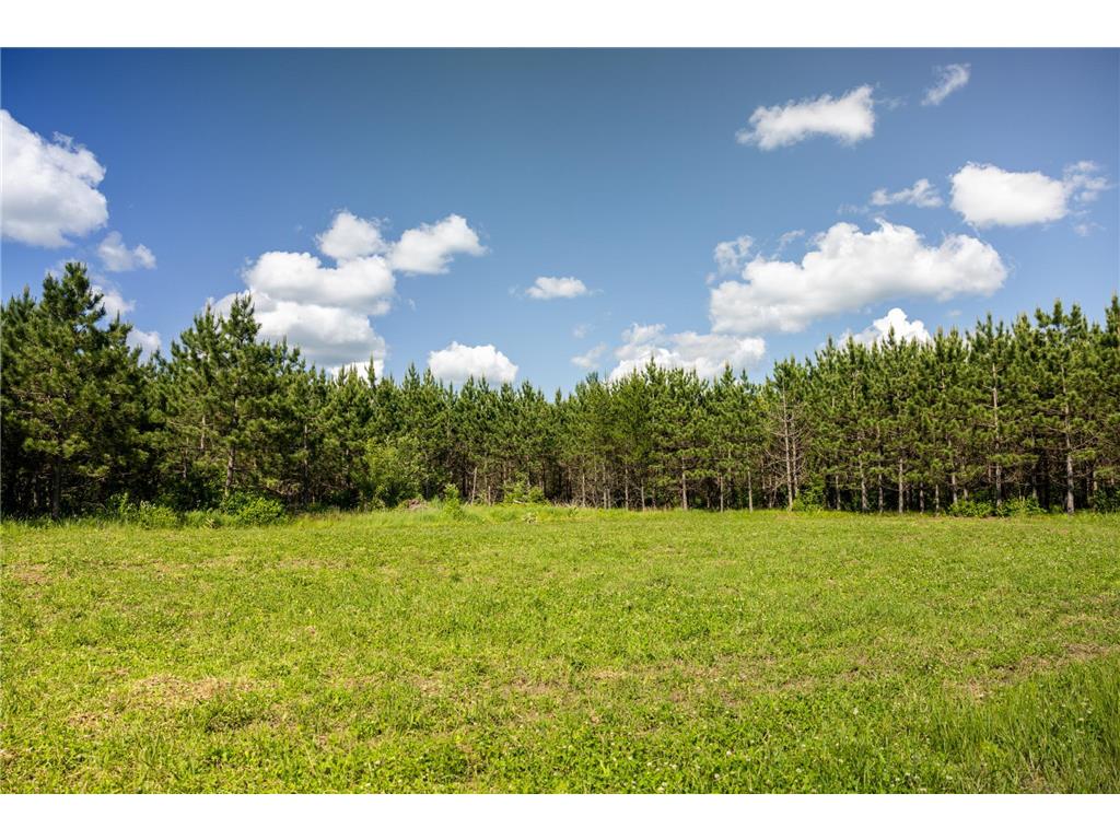 22415 Wilderness Drive Lyons Twp MN 56481 7101809 image56