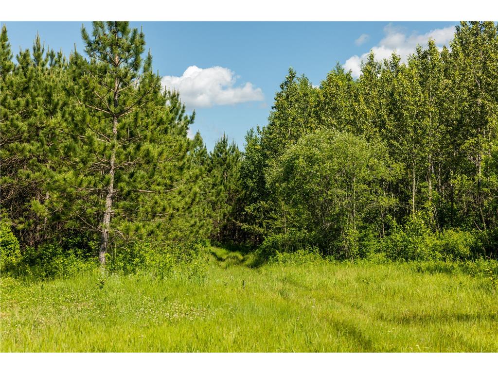 22415 Wilderness Drive Lyons Twp MN 56481 7101809 image57