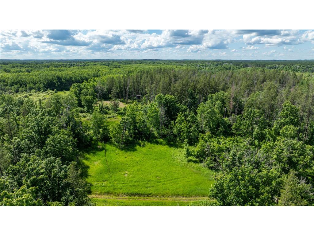 22415 Wilderness Drive Lyons Twp MN 56481 7101809 image59