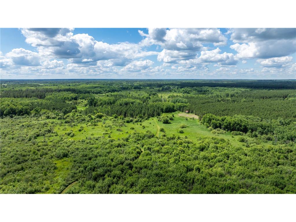 22415 Wilderness Drive Lyons Twp MN 56481 7101809 image6