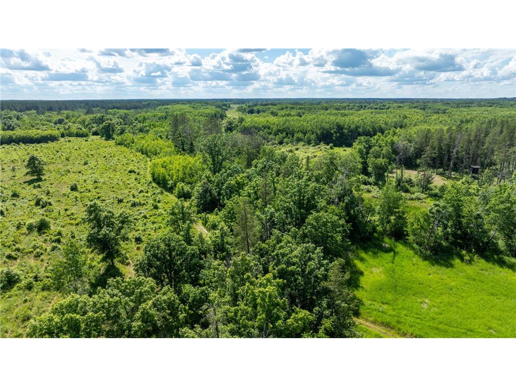 22415 Wilderness Drive Lyons Twp MN 56481 7101809 image60