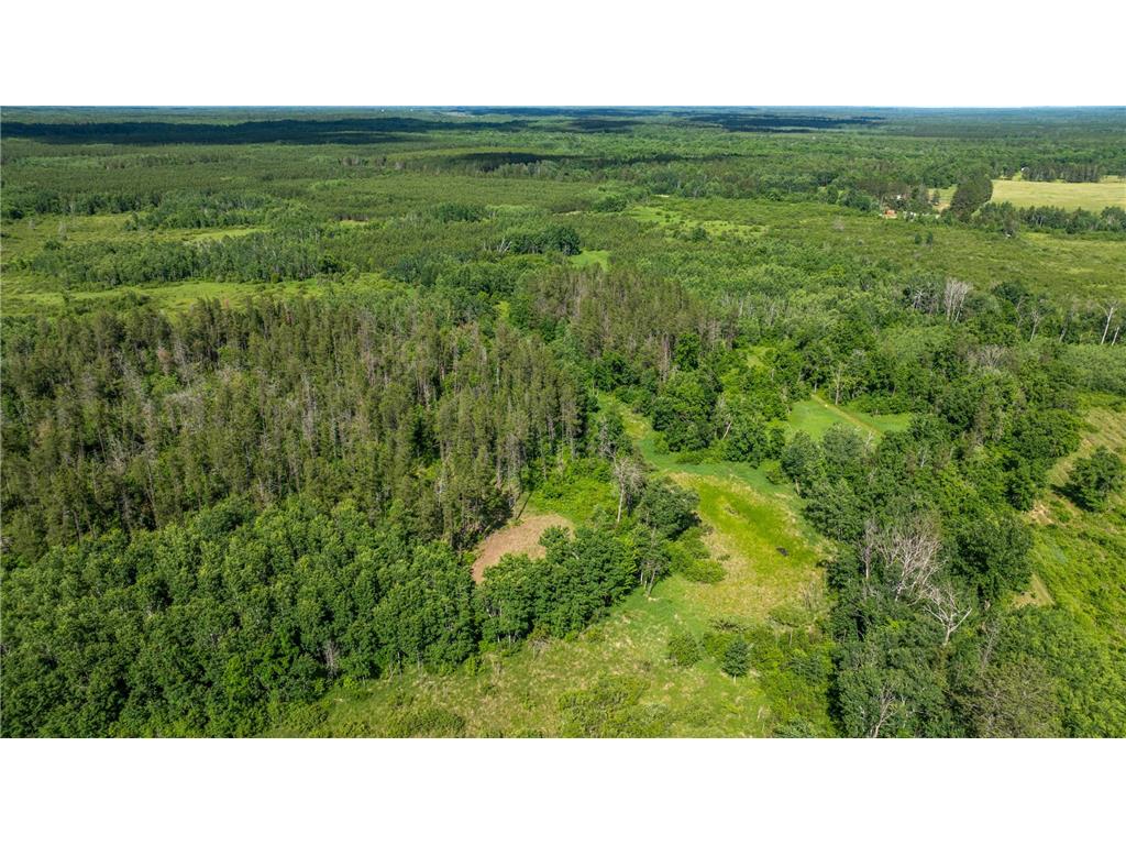 22415 Wilderness Drive Lyons Twp MN 56481 7101809 image61
