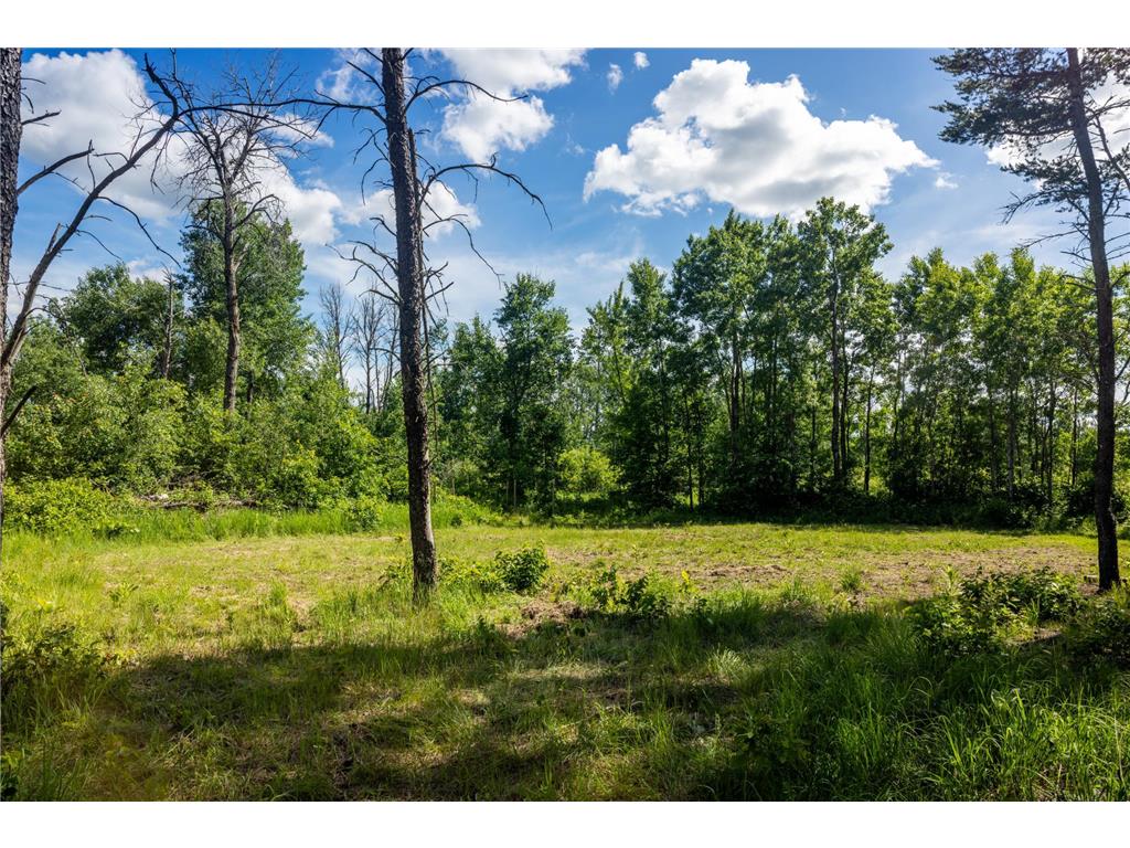 22415 Wilderness Drive Lyons Twp MN 56481 7101809 image62