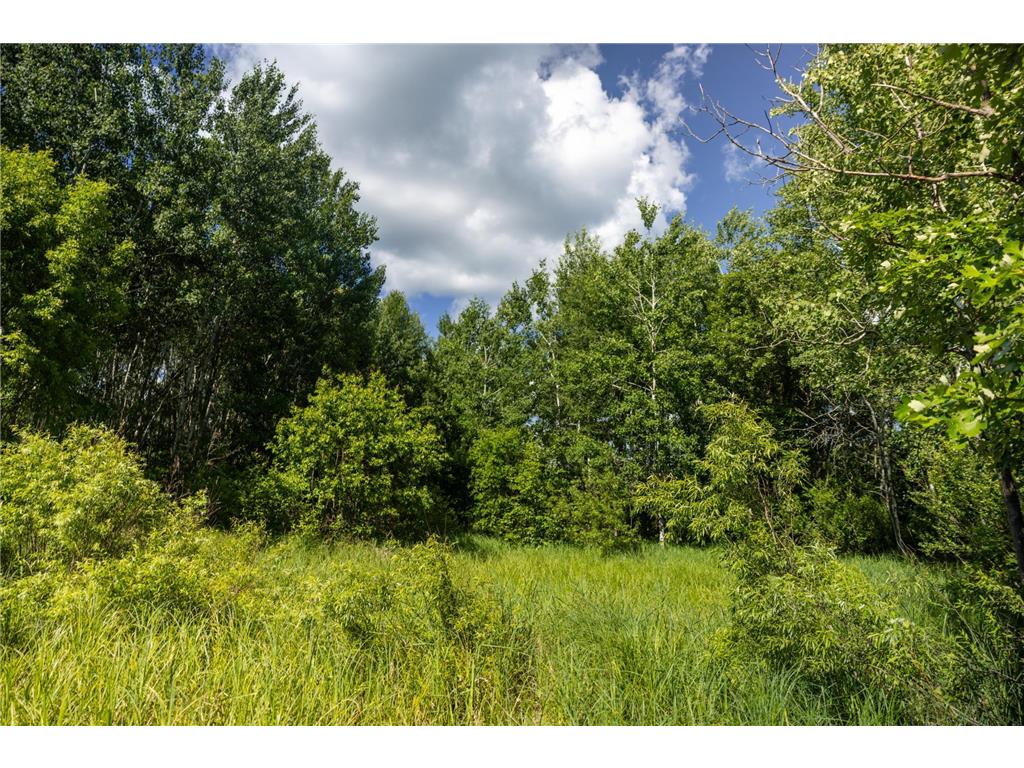 22415 Wilderness Drive Lyons Twp MN 56481 7101809 image65