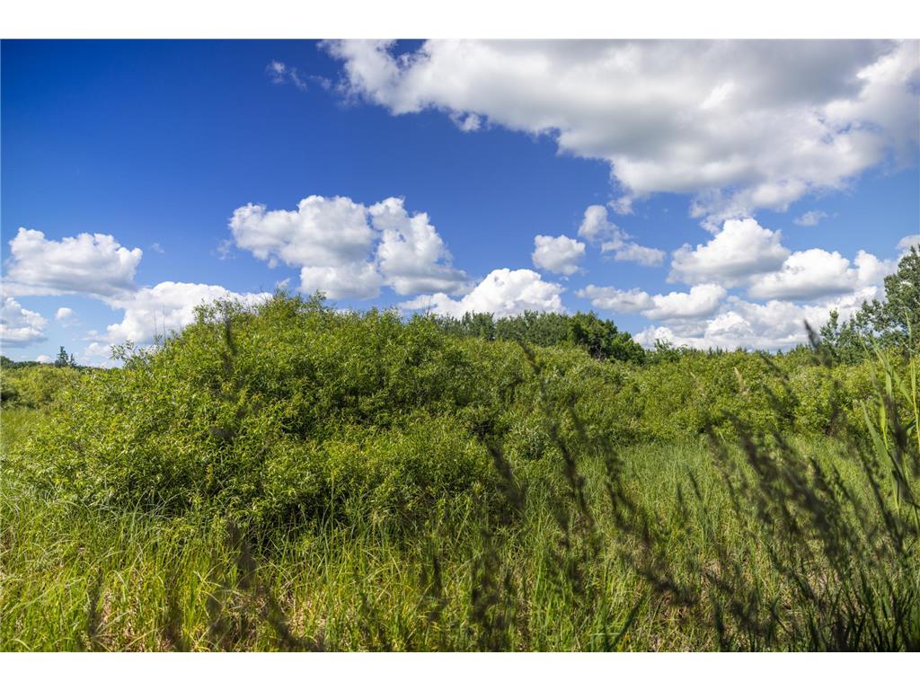 22415 Wilderness Drive Lyons Twp MN 56481 7101809 image66