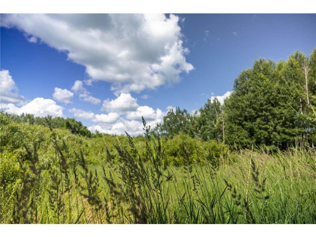 22415 Wilderness Drive Lyons Twp MN 56481 7101809 image67