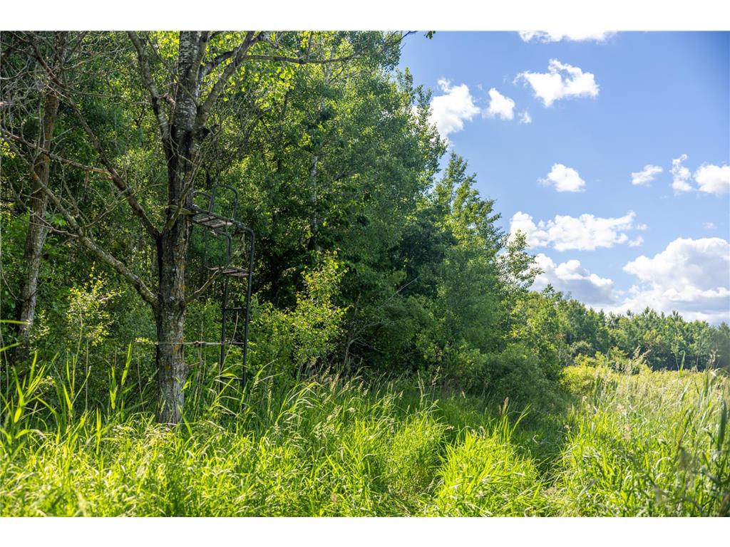 22415 Wilderness Drive Lyons Twp MN 56481 7101809 image68