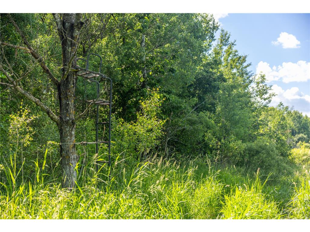 22415 Wilderness Drive Lyons Twp MN 56481 7101809 image69