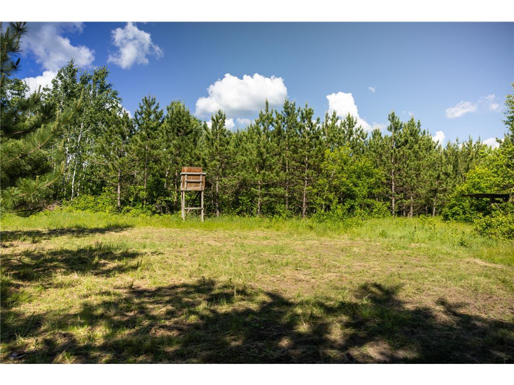 22415 Wilderness Drive Lyons Twp MN 56481 7101809 image70
