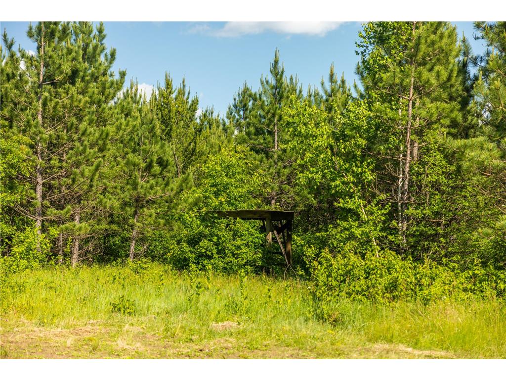 22415 Wilderness Drive Lyons Twp MN 56481 7101809 image71