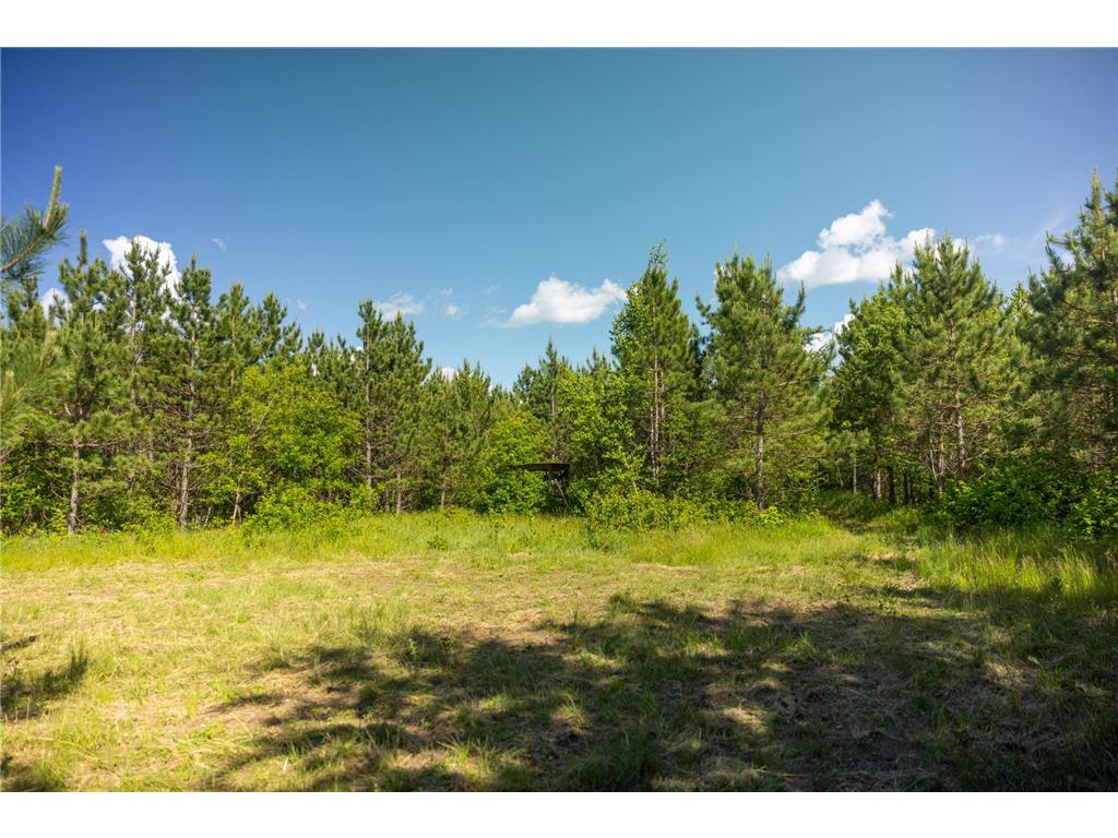 22415 Wilderness Drive Lyons Twp MN 56481 7101809 image72