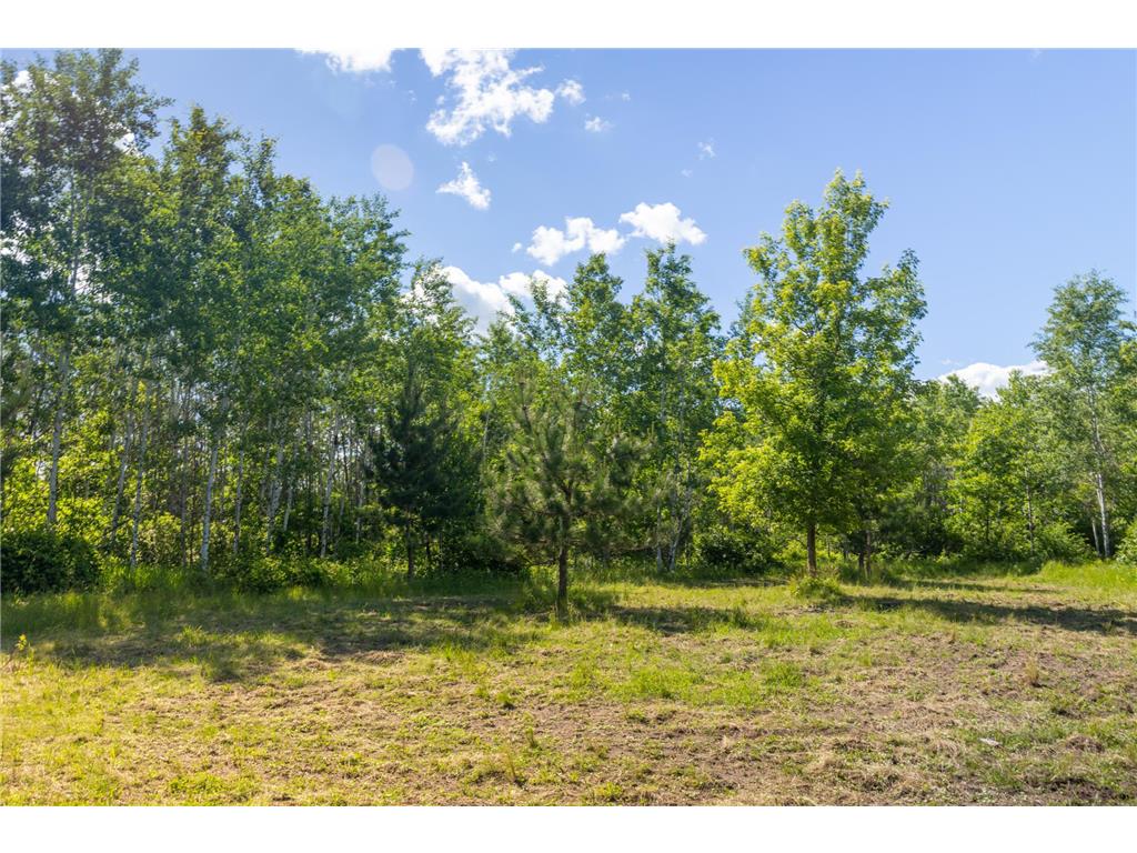 22415 Wilderness Drive Lyons Twp MN 56481 7101809 image73