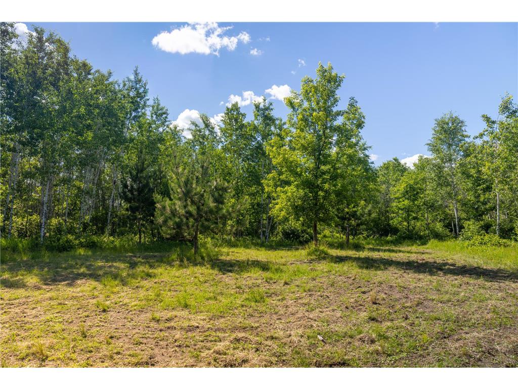 22415 Wilderness Drive Lyons Twp MN 56481 7101809 image74