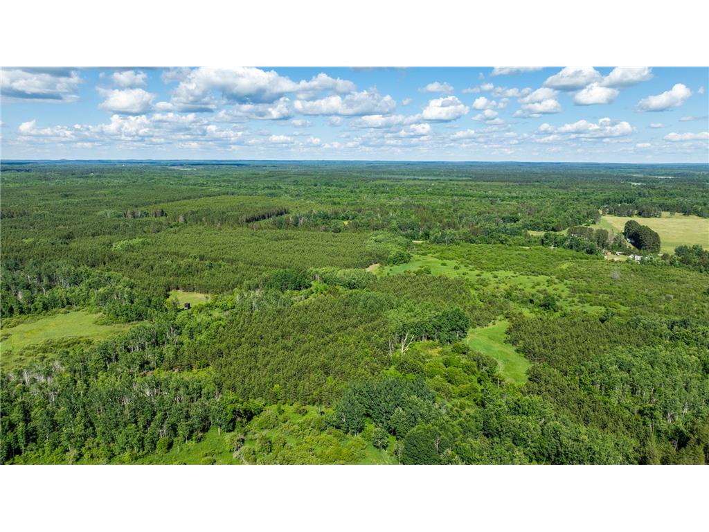 22415 Wilderness Drive Lyons Twp MN 56481 7101809 image76