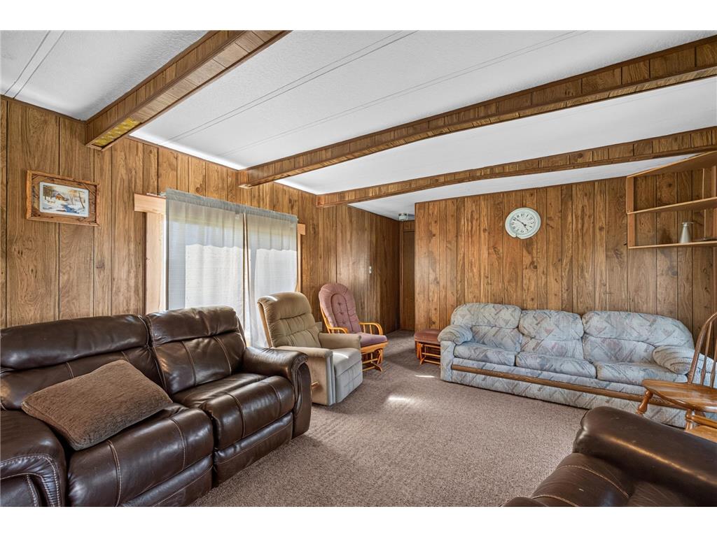 22415 Wilderness Drive Lyons Twp MN 56481 7101809 image84