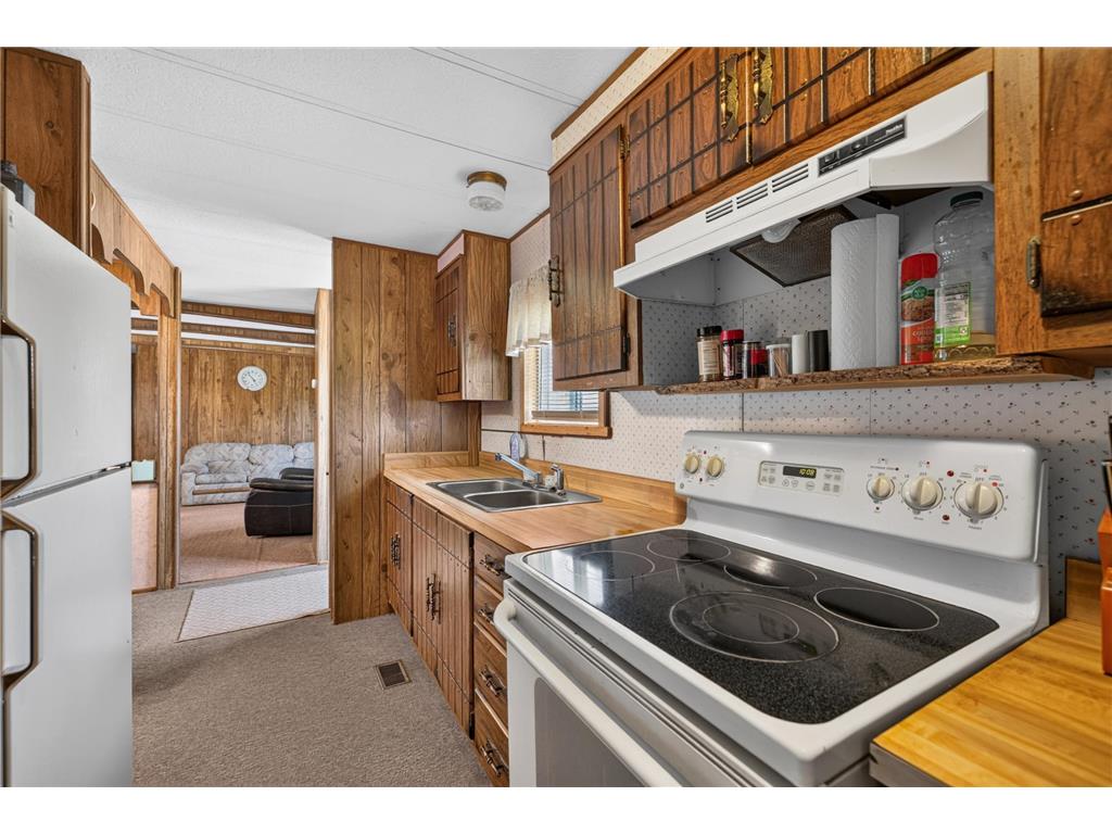 22415 Wilderness Drive Lyons Twp MN 56481 7101809 image89