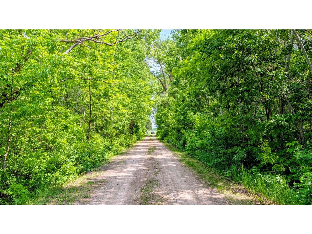 2242 220th Avenue Mahnomen MN 56557 7086051 image35