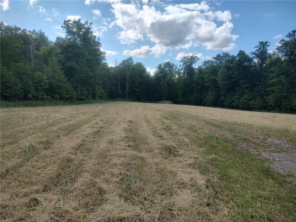 22440 County Rd 9 Bemidji MN 56601 6554148 image1