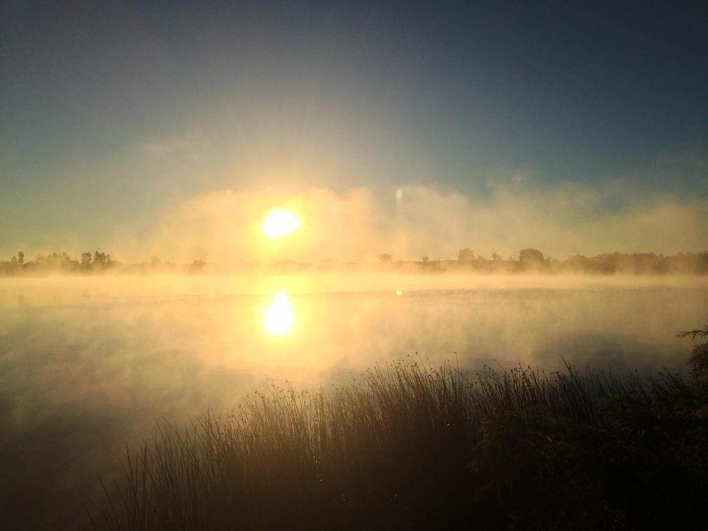 2245 Cottonwood Lake Drive Windom MN 56101 - Cottonwood 6774753 image39