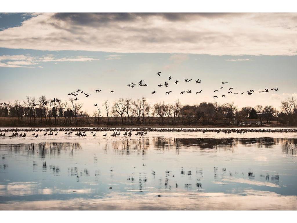 2245 Cottonwood Lake Drive Windom MN 56101 - Cottonwood 6774753 image40