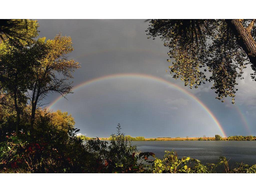 2245 Cottonwood Lake Drive Windom MN 56101 - Cottonwood 6774753 image42