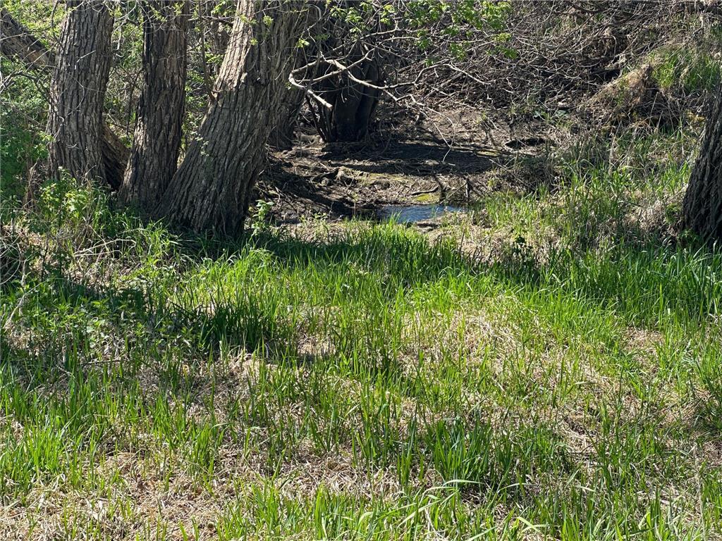 22451 340th Avenue Revere MN 56166 6716069 image28