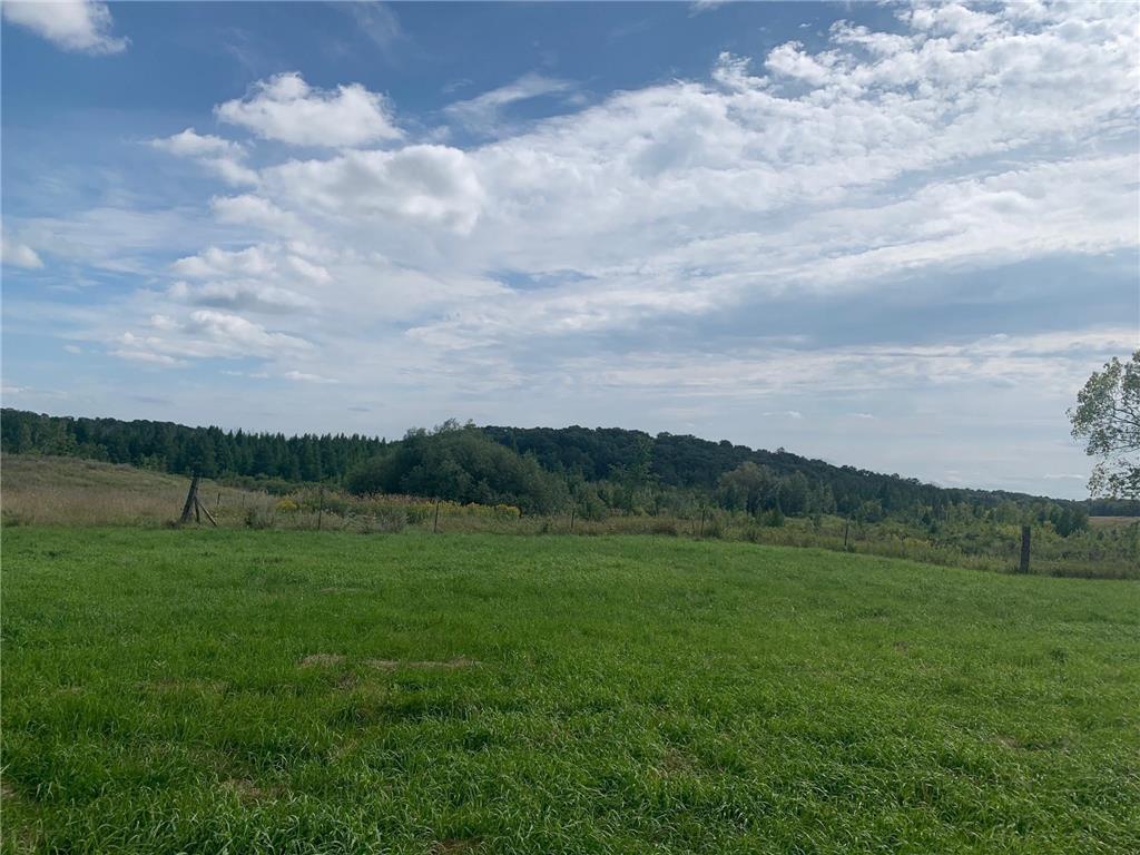 22455 Ginseng Road Reynolds Twp MN 56347 6362550 image1