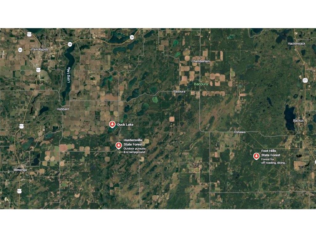 22496 Duck Lake Road Huntersville Twp MN 56464 - Duck Lake 7072200 image31