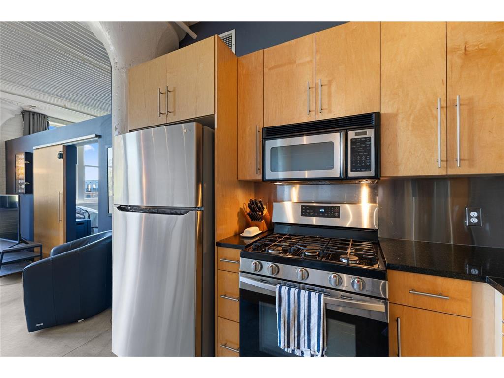 225 9th Street E #409 Saint Paul MN 55101 6801382 image9