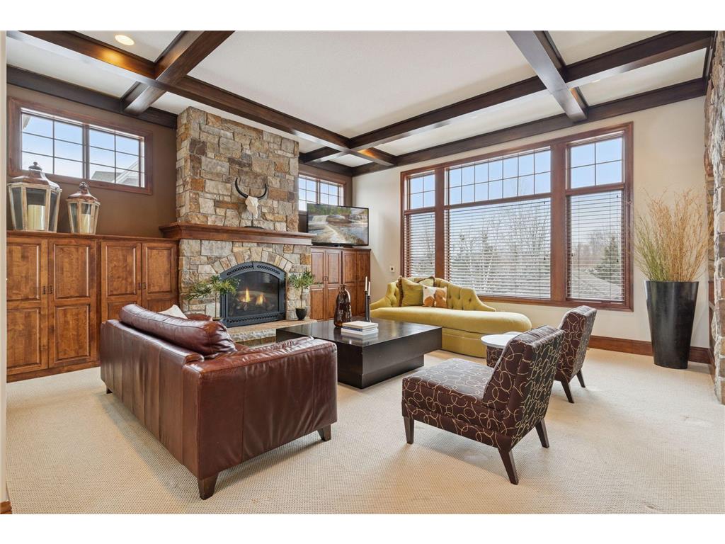 225 Calamus Circle Medina MN 55340 7016171 image17