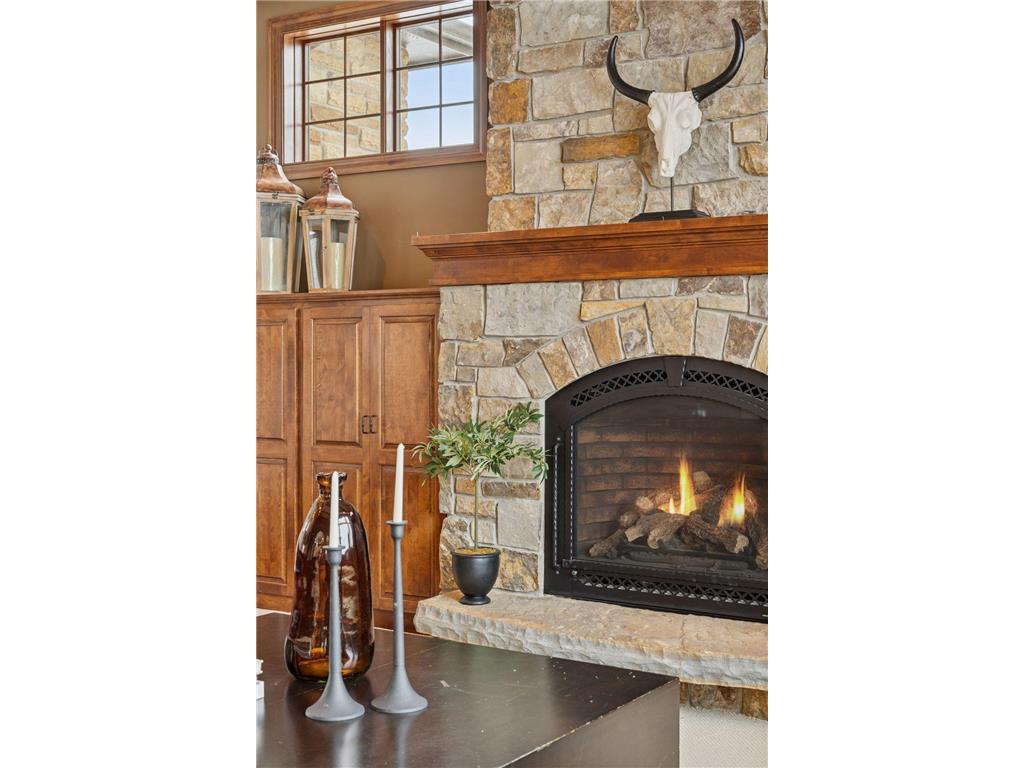 225 Calamus Circle Medina MN 55340 7016171 image19