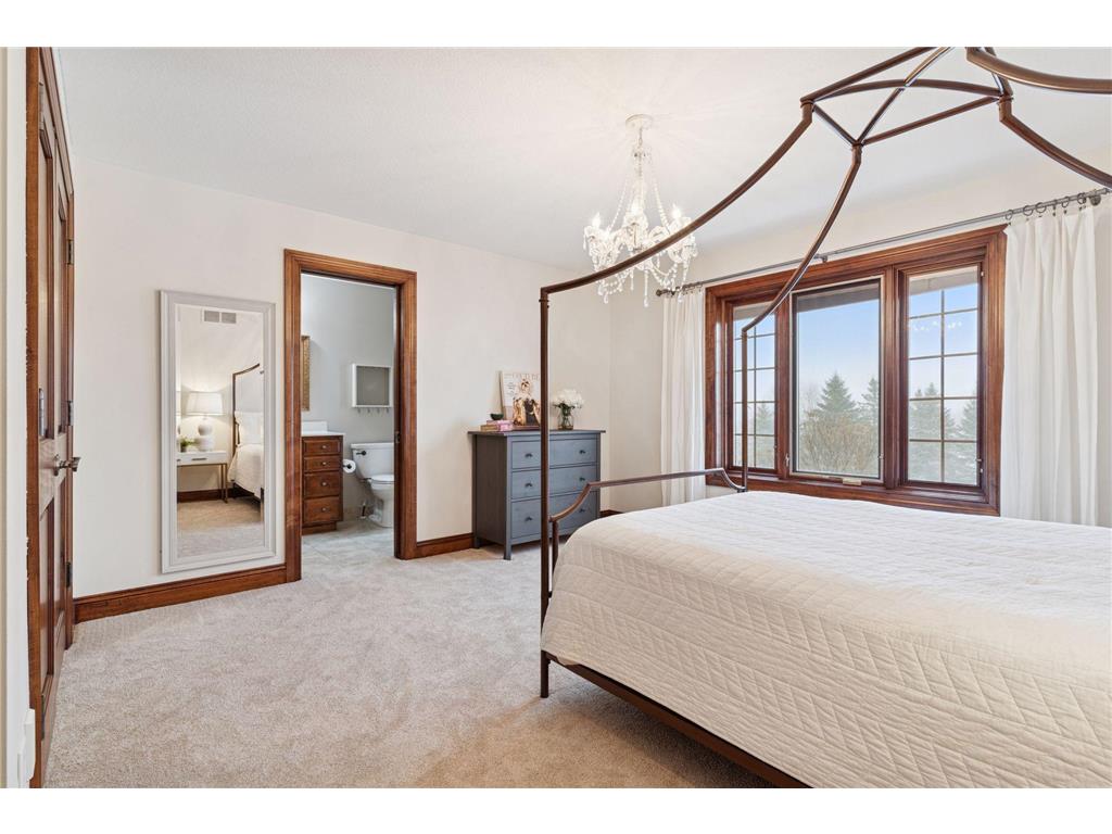 225 Calamus Circle Medina MN 55340 7016171 image39