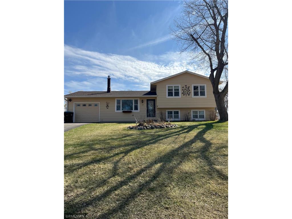 225 Honeytree Drive Delano MN 55328 6678139 image1