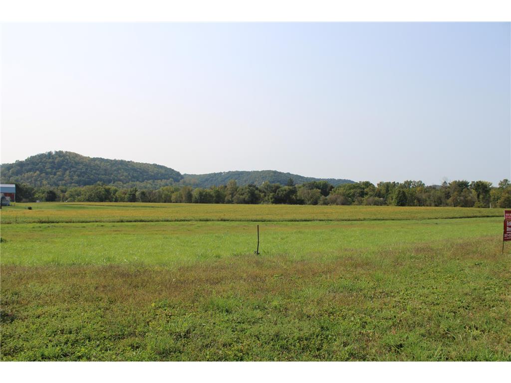 225 Pheasant Run Rollingstone MN 55969 6574839 image12