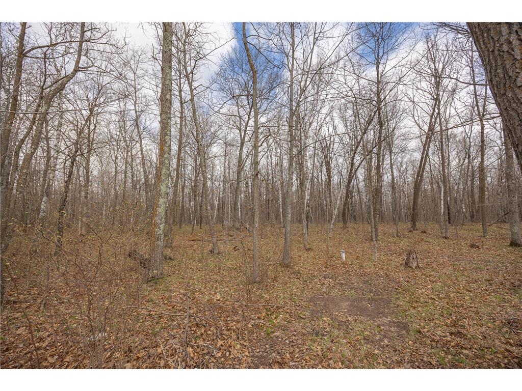 2251 Fahrenholz Road NE Longville MN 56655 7063594 image51