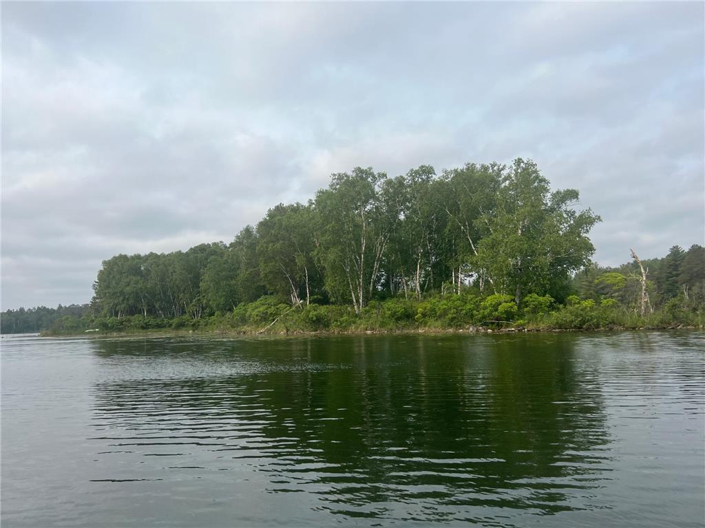 22510 Spider Island, Nevis, MN, 56467 MLS 6388093 Edina Realty