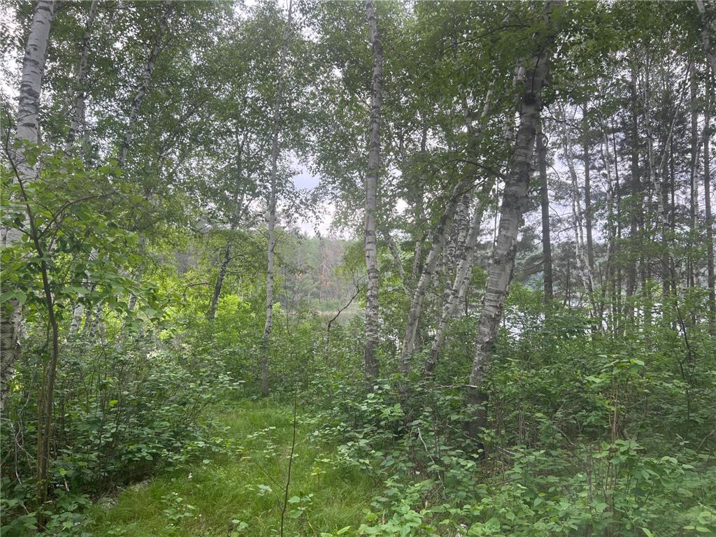 22510 Spider Island, Nevis, MN, 56467 MLS 6388093 Edina Realty