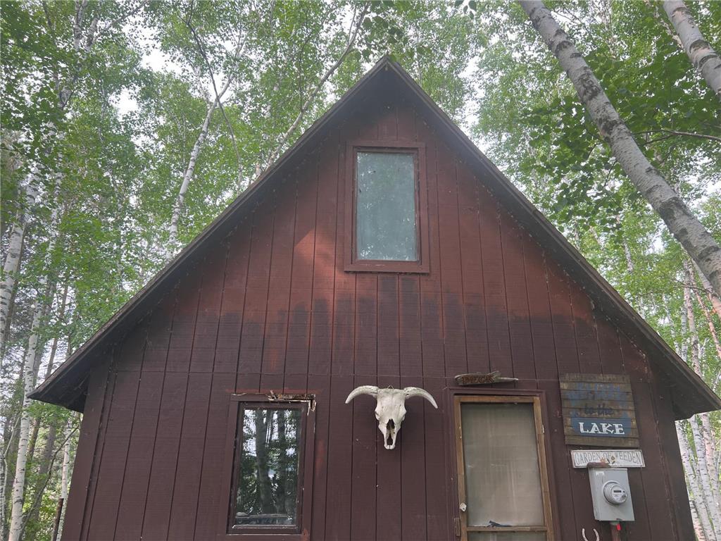 22510 Spider Island, Nevis, MN, 56467 MLS 6388093 Edina Realty