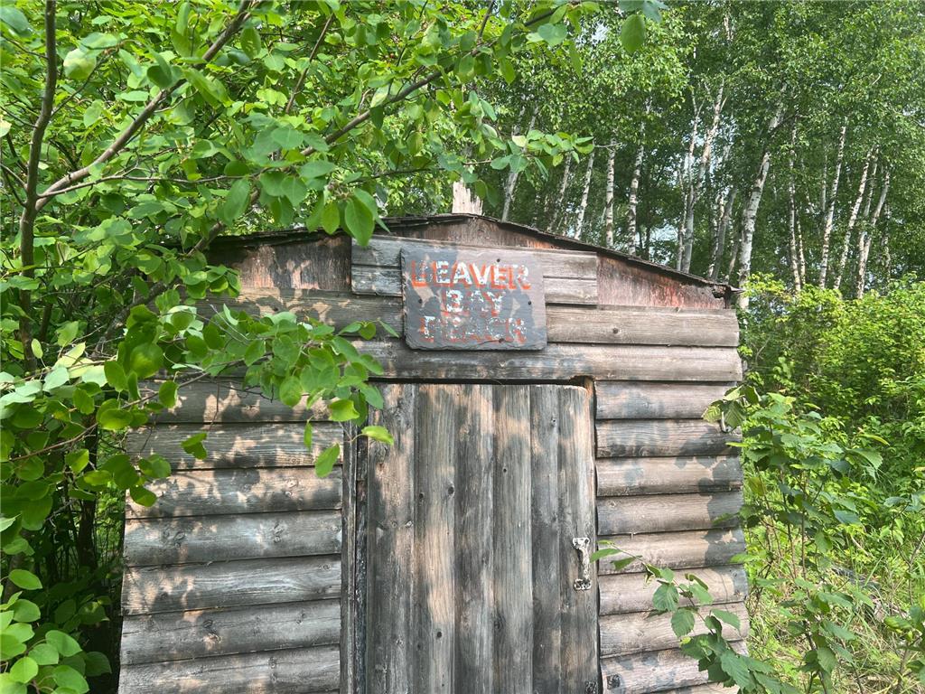 22510 Spider Island, Nevis, MN, 56467 MLS 6388093 Edina Realty