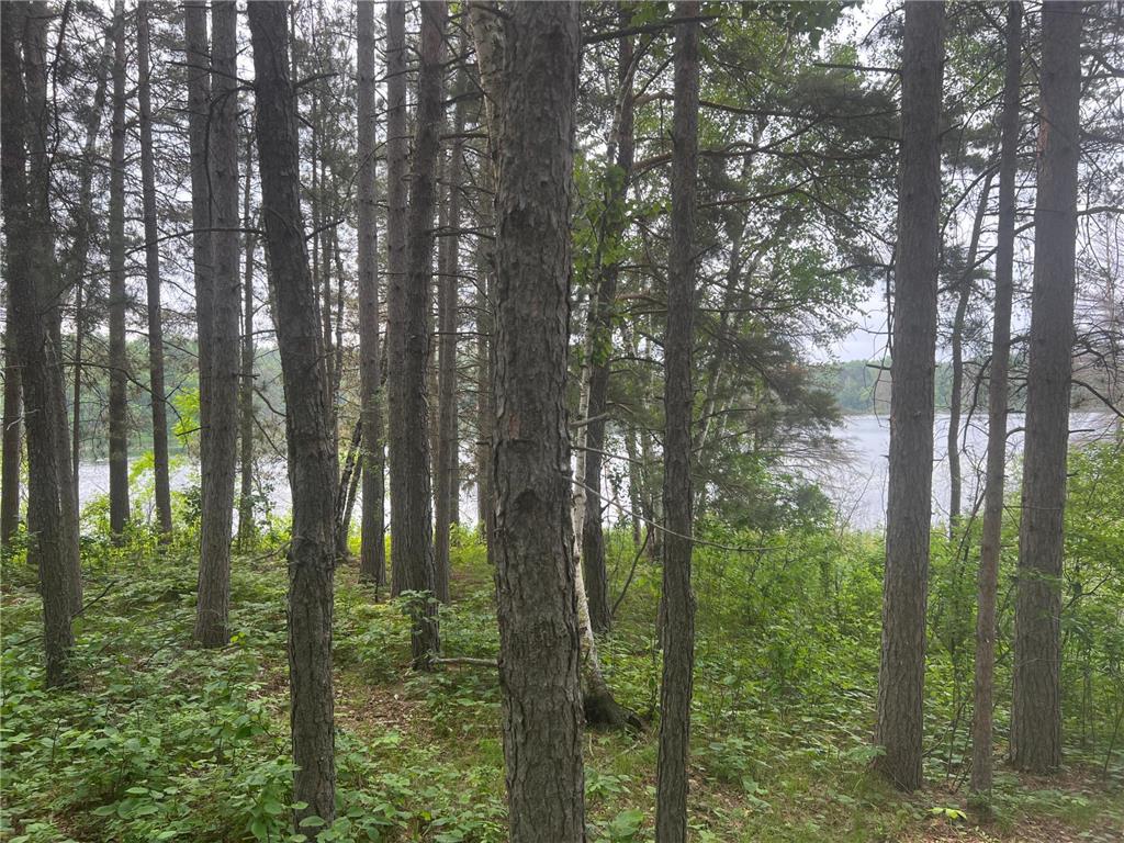 22510 Spider Island, Nevis, MN, 56467 MLS 6388093 Edina Realty