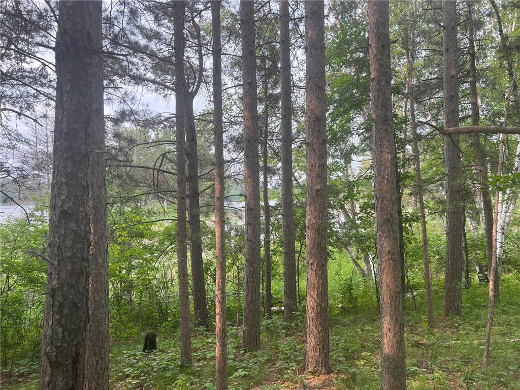 22510 Spider Island, Nevis, MN, 56467 MLS 6388093 Edina Realty