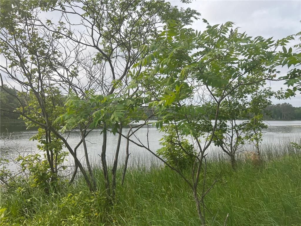 22510 Spider Island, Nevis, MN, 56467 MLS 6388093 Edina Realty