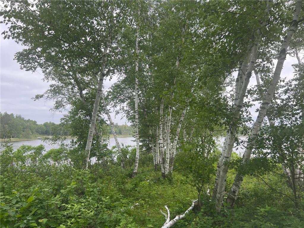 22510 Spider Island, Nevis, MN, 56467 MLS 6388093 Edina Realty