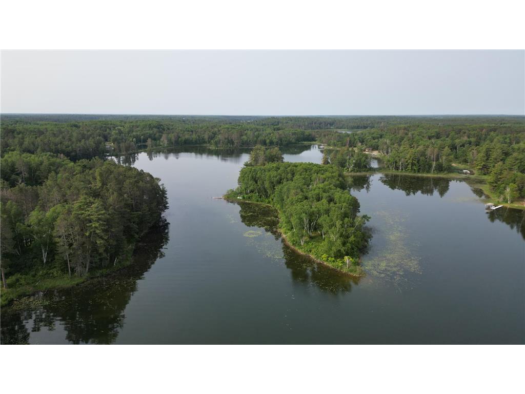 22510 Spider Island, Nevis, MN, 56467 MLS 6388093 Edina Realty